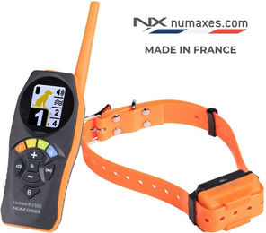 Produktbild von Wiederaufladbarer Hundeausbildungs-Halsband mit Fernbedienung Num'axes Canicom R-1500