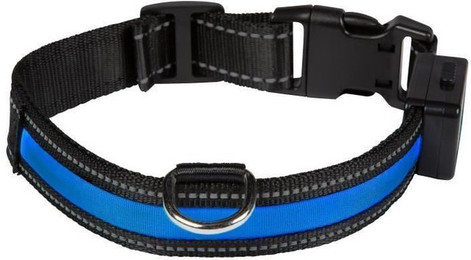 Produktbild von Wiederaufladbares usb-Leuchthalsband für Hunde Eyenimal