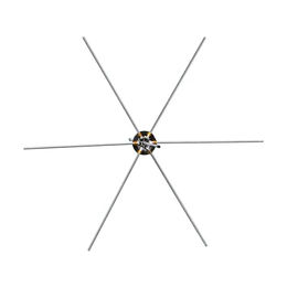 Wiesen-Spinne Gallagher – Bild 1 von 8