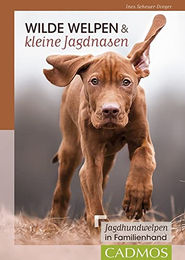 Wilde Welpen & kleine Jagdnasen – Bild 1 von 11