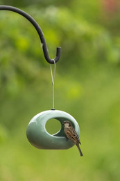 Produktbild von Wildlife Hängende Wasserschale Selo grün