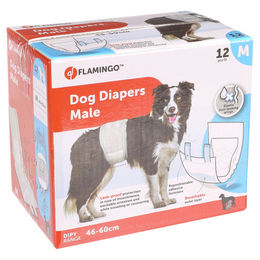 Windeln DIPY für Rüden M 46-60 cm – Bild 1 von 4