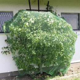 Produktbild von Windhager Vogelschutz-Netz RATIONAL Vogelabwehrnetz 10x4 m - 40 m