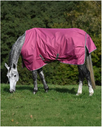 Produktbild von Winterdecke Freedom Turnout 150 g