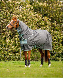 Produktbild von Winterdecke Hero Ripstop Plus Turnout Medium 200 g