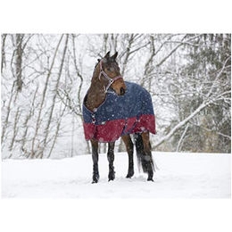 Produktbild von Winterdecke TYREX 1200D EquiTheme 165cm - 450 g