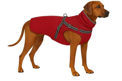 Wintermantel Duker Rot 55 cm – Bild 1 von 7