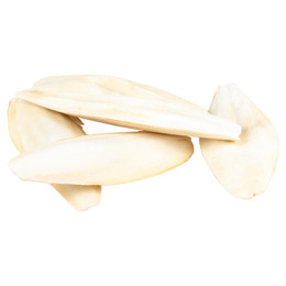 Produktbild von Witte Molen Sepiaschale weiß - 5 kg