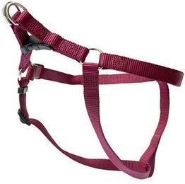 Produktbild von Wolters Geschirr Basic One Touch Gr.M