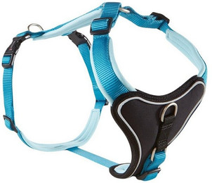 Produktbild von Wolters Geschirr Professional Comfort Aqua/Azur Brustumfang 35-40 cm