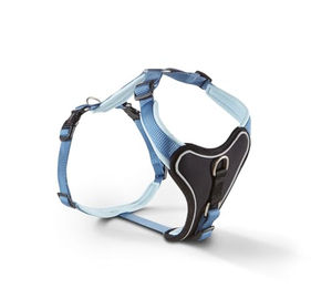 Wolters Geschirr Professional Comfort – Bild 1 von 3