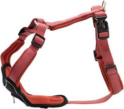 Produktbild von Wolters Geschirr Professional Comfort rostrot 35-40 cm