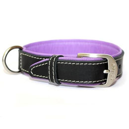 Produktbild von Wolters Halsband Terranova Fettleder