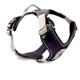 Produktbild von WOLTERS Hundegeschirr Active Pro champagner/silber