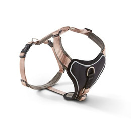 Produktbild von WOLTERS Hundegeschirr Professional Comfort champagner/trüffel