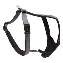 Wolters Professional Comfort Hundegeschirr graphit/schwarz – Bild 1 von 3