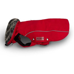 Produktbild von Wolters Winterjacke Amundsen für Dackel rot