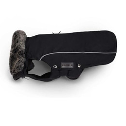 Produktbild von Wolters Winterjacke Amundsen für Dackel schwarz
