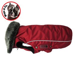 Wolters Winterjacke Amundsen für Mops & Co. rot – Bild 1 von 4