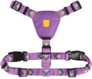 Produktbild von Woolly Wolf Geschirr Northern Lights XXS