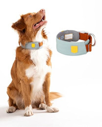 Produktbild von Woolly Wolf Halsband Alpha 360 Glacier Green Mix S