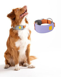 Produktbild von Woolly Wolf Halsband Alpha 360 Lavendermix XL