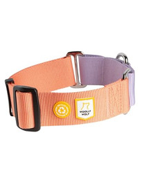 Produktbild von Woolly Wolf Halsband Color Block Martingale Salmon Pink Mix L