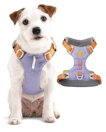 Produktbild von WOOLLY WOLF Hundegeschirr Alpha 360 lavender mix
