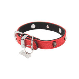 Produktbild von Wouapy Hundehalsband Rock PetMini 15 mm x 35 cm Rot