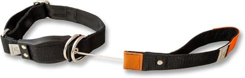 Produktbild von WowWow Professional Hundehalsband mit integrierter Leine schwarz Größe L 46-66 cm