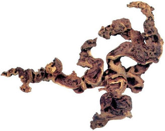 Produktbild von Wurzel groß Zolux Mopani