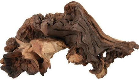 Produktbild von Wurzel klein Zolux Mopani