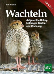 Wachteln Hobbyhaltung für Garten und Wohnung – Bild 1 von 2