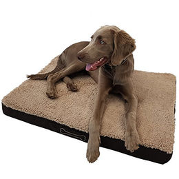 Waidmeister Benji Orthopädisches Hundebett mit Memory Foam und waschbarem Bezug Beige Größe L – Bild 1 von 9