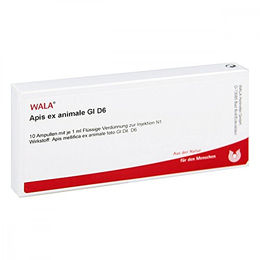 WALA APIS EX animale GL D 6 Ampullen 10x1 ml – Bild 1 von 1
