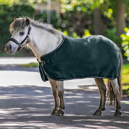 Produktbild von Waldhausen Abschwitzdecke Economic Fleece für Pferde Tannengrün 135 cm - 1 Stk.
