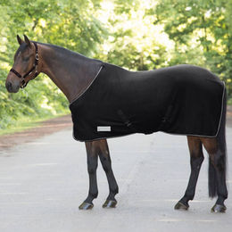 Waldhausen Abschwitzdecke Economic mit Kreuzgurten aus Fleece in Schwarz 155 cm - 155 cm – Bild 1 von 2