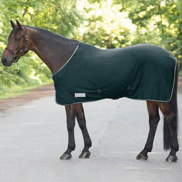 Waldhausen Abschwitzdecke Economic mit Kreuzgurten aus Fleece in Tannengrün 135 cm – Bild 1 von 1