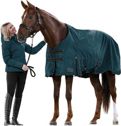 Waldhausen Arctic Light Regendecke für Pferde aus Ripstop-Material Petrolblau 145 cm – Bild 1 von 1