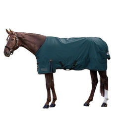 Waldhausen Arctic Outdoordecke für Pferde aus Ripstop-Gewebe Petrolblau 165 cm – Bild 1 von 4