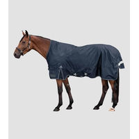 Produktbild von Waldhausen Arctic Outdoordecke für Pferde High Neck Light Blau 135 cm