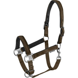 Waldhausen Athletic Nylonhalfter für Vollblut in Grünbraun – Bild 1 von 6