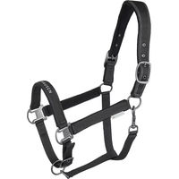 Produktbild von Waldhausen Athletic Pony Halfter Schwarz mit Silberbeschlägen