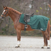 Produktbild von Waldhausen Ausreitdecke 0g Comfort Regendecke mit Sattelausschnitt für Ponys in Tannengrün