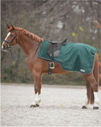 Produktbild von Waldhausen Ausreitdecke Comfort Fleece Grün für Warmblut