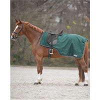 Produktbild von Waldhausen Ausreitdecke Comfort Fleece Grün für Warmblut
