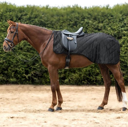 Waldhausen Ausreitdecke Nierendecke Schwarz für Warmblut aus Polyester – Bild 1 von 1