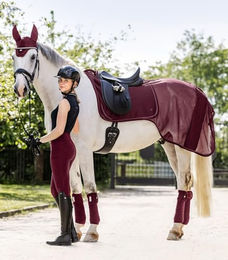 Waldhausen Ausreitdecke Rom für Ponys in Rot aus Polyester – Bild 1 von 5