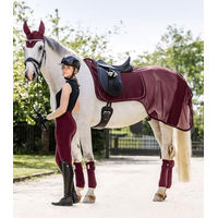 Produktbild von Waldhausen Ausreitdecke Rom für Ponys in Rot aus Polyester