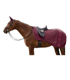 Waldhausen Ausreitdecke Rom Rot für Vollblut – Bild 1 von 3